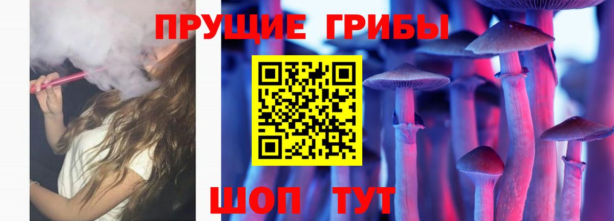 Приморско-Ахтарск  Псилоцибиновые грибы MAGIC MUSHROOMS  Вход с VPN 